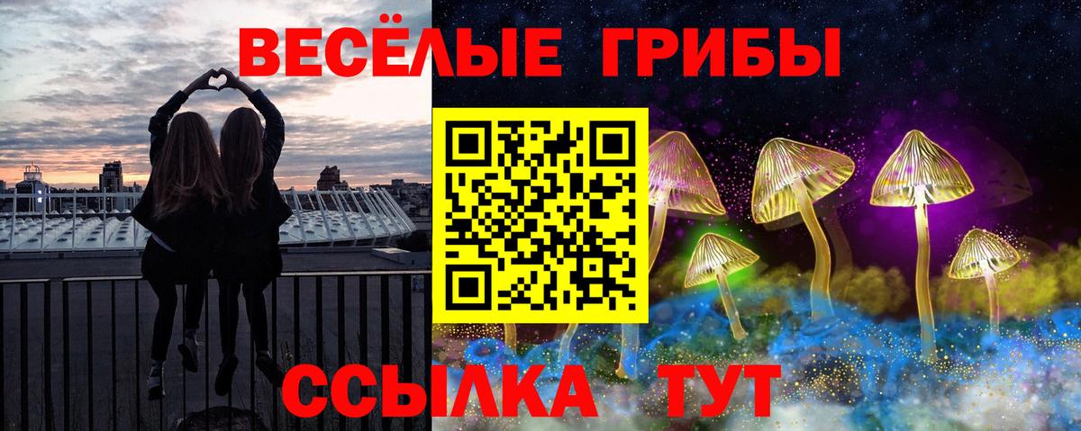 Псилоцибиновые грибы Psilocybe  Вход с VPN  Кореновск 